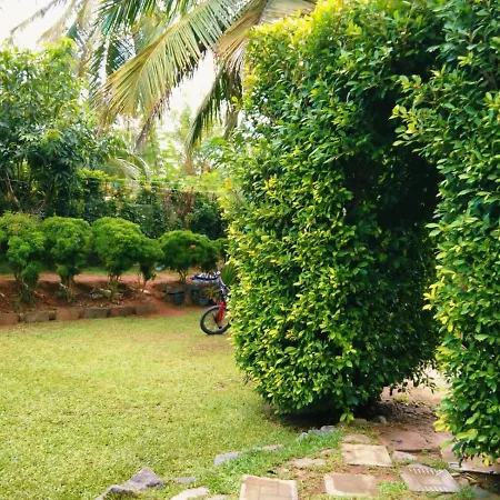 Green Bird Mirissa Exterior foto