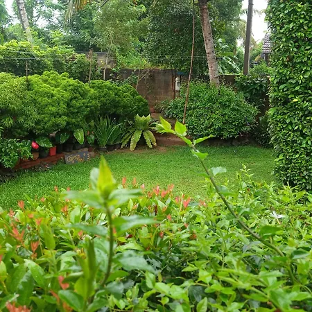 Green Bird Mirissa Exterior foto