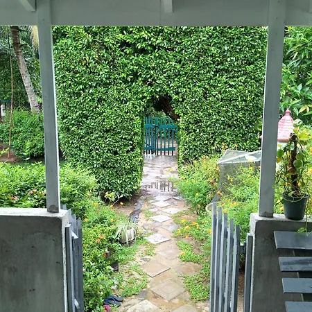 Green Bird Mirissa Exterior foto