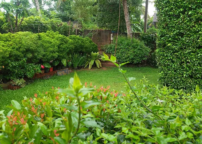 Green Bird