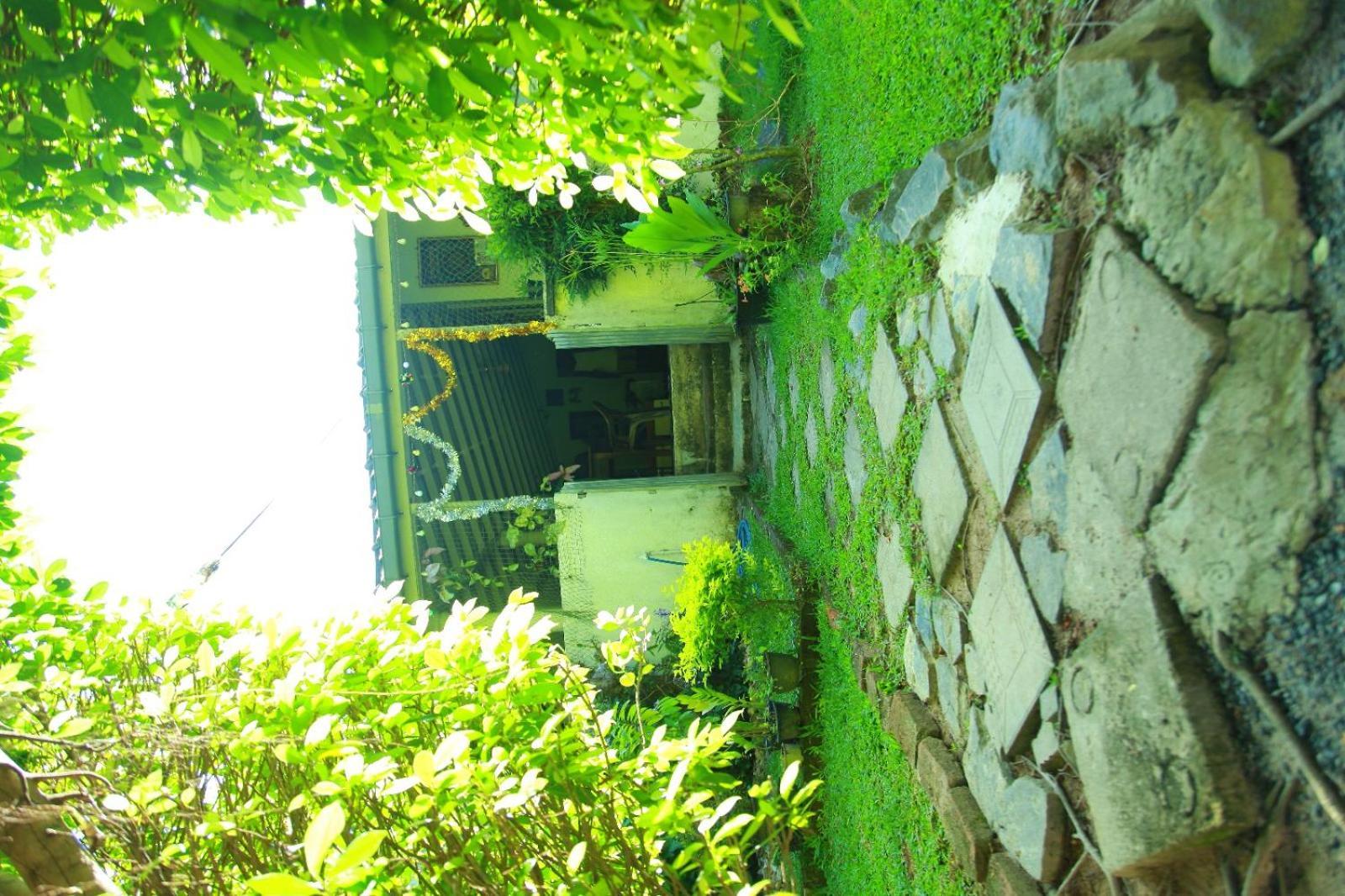 Bird Apartment *