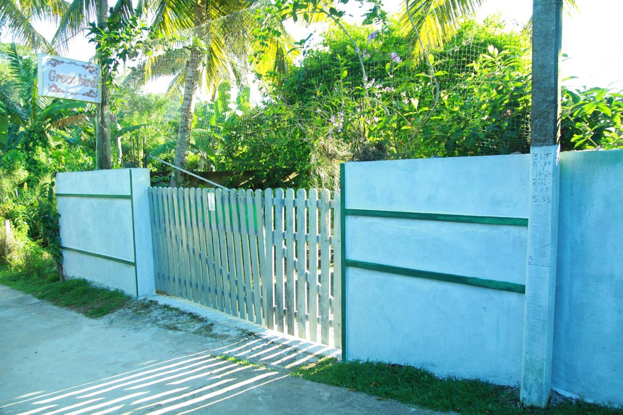 Bird Apartment Mirissa